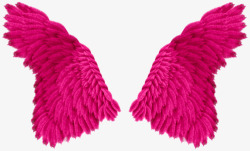 漂亮的粉红色羽毛翅膀素材