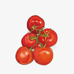 手绘红色西红柿矢量图素材