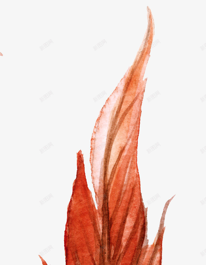 橘色羽毛树叶png免抠素材_新图网 https://ixintu.com 创意树叶 彩绘羽毛 树叶 植物 羽毛纹理