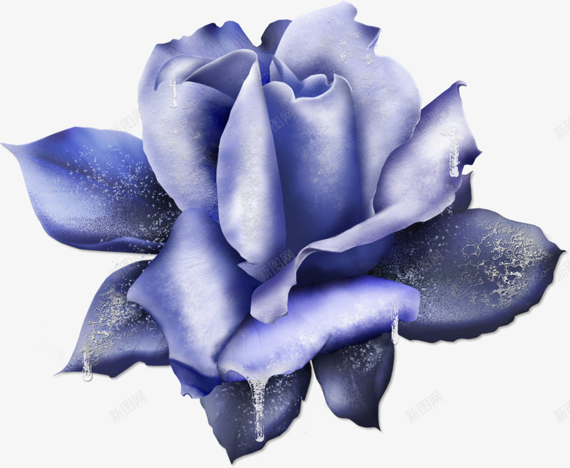 蓝玫瑰装饰蕾丝2png免抠素材_新图网 https://ixintu.com 手工 蓝玫瑰 蕾丝 装饰