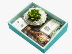 绿色植物礼盒精致多肉植物伴手礼高清图片