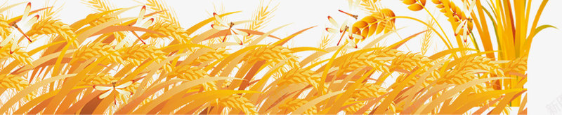 成熟小麦png免抠素材_新图网 https://ixintu.com 小麦 收获 蝴蝶 麦子 黄色