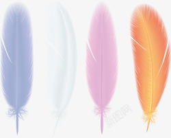 四种颜色的花羽毛四种颜色羽毛高清图片