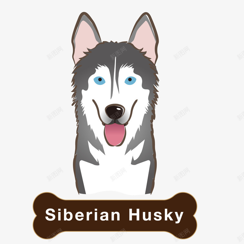 西伯利亚雪橇犬动物矢量图ai免抠素材_新图网 https://ixintu.com 动物设计 卡通 宠物 小狗 西伯利亚雪橇犬 矢量图