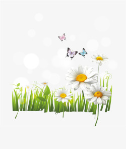 草地雏菊矢量白色雏菊花丛和蝴蝶高清图片