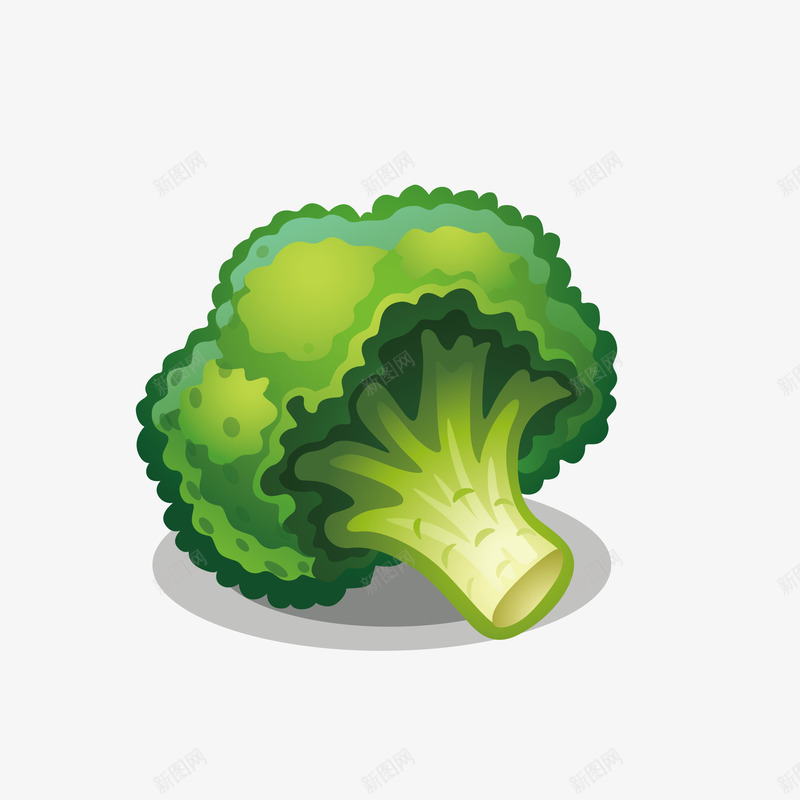 新鲜的西兰花手绘图png免抠素材_新图网 https://ixintu.com 卡通 手绘图 新鲜的 菜花 蔬菜 西兰花 食物
