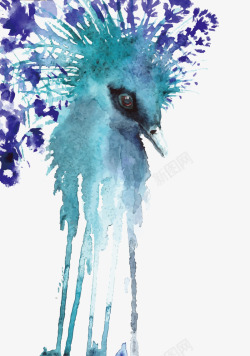 鸟类手绘插画3水彩鸟高清图片