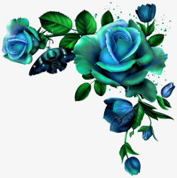 蓝色盛开玫瑰手绘素材