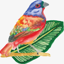水彩手绘彩色羽毛的小鸟素材
