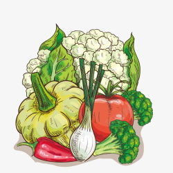 花椰菜装饰卡通瓜果蔬菜高清图片