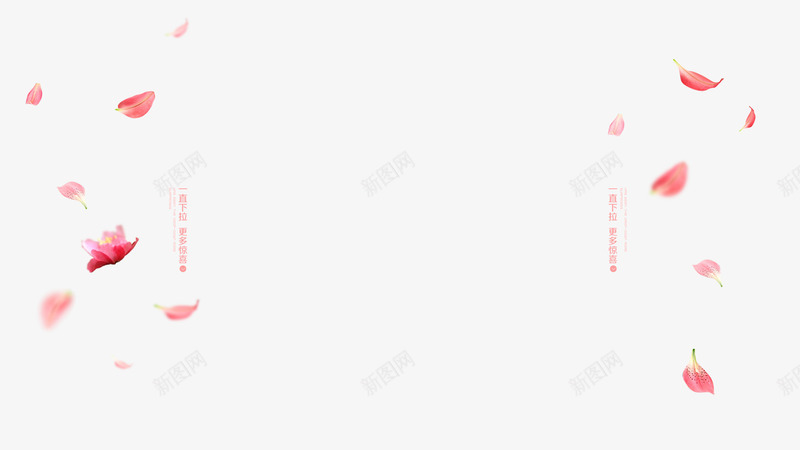 粉红色玫瑰花装饰png免抠素材_新图网 https://ixintu.com 玫瑰花 粉红色 装饰