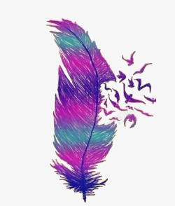 紫色鸽子彩色羽毛高清图片
