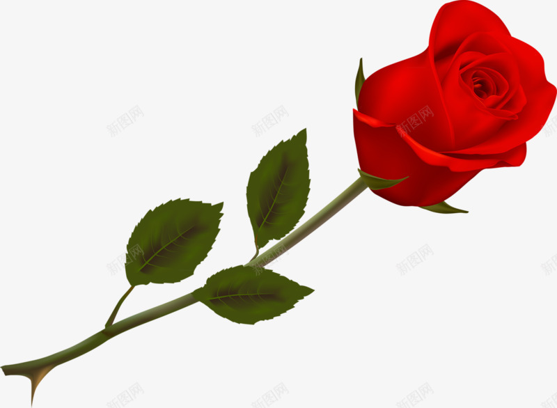 一朵红玫瑰png免抠素材_新图网 https://ixintu.com 好看 手绘 红色 鲜花