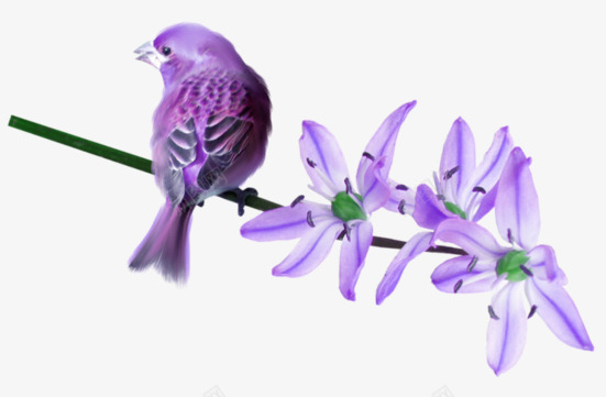 紫色花朵和鸟png免抠素材_新图网 https://ixintu.com 卡通 小鸟 手绘 枝干 紫色 羽毛 花朵 黑色
