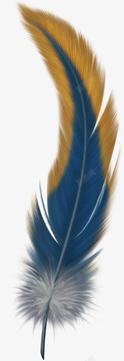 鸟羽毛羽毛飘落蓝色羽毛素材