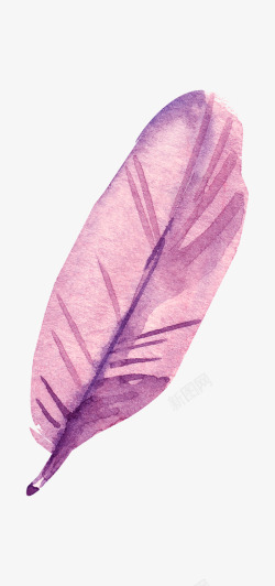 紫色的羽毛水墨图素材