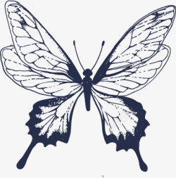 蝴蝶黑白昆虫剪影矢量图高清图片