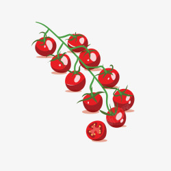 一串西红柿一串红绿色小西红柿矢量图高清图片