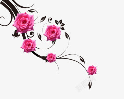 黑色粉红色玫瑰花藤蔓高清图片