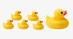 一群鸭黄色玩具一群跟随着的橡胶鸭实物高清图片