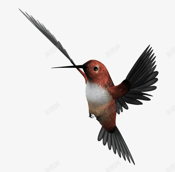 叼羽毛的鸟png免抠素材_新图网 https://ixintu.com 卡通 小鸟 手绘 简图 红色的 羽毛 翅膀 黑色的
