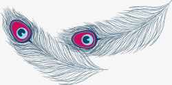 孔雀羽毛斜向扁平风格羽毛矢量图高清图片