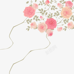 春暖花开粉色玫瑰花素材