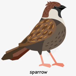 棕色鸟类可爱麻雀的手绘矢量图高清图片