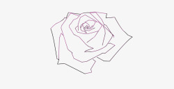 玫瑰花线条图素材