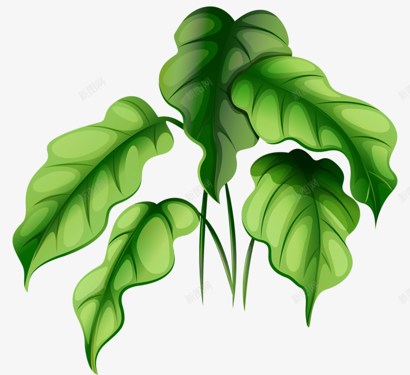 西瓜叶图案png免抠素材_新图网 https://ixintu.com 创意 卡通 植物 绿色 西瓜叶