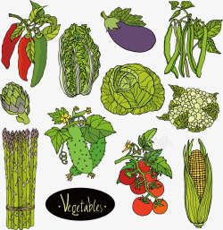 手绘蔬菜合集矢量图素材