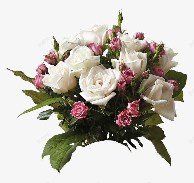 白色鲜艳的玫瑰花束png免抠素材_新图网 https://ixintu.com 玫瑰 白色 花束 鲜艳
