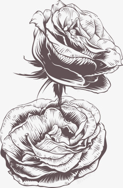 温馨婚庆盛开的玫瑰花矢量图高清图片