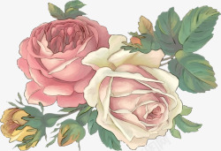 彩绘玫瑰花矢量图素材