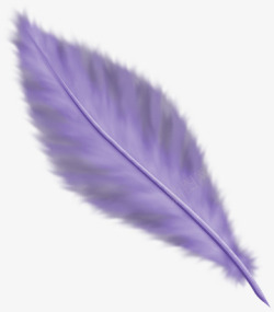 彩色翅膀手绘翅膀紫色羽毛素材