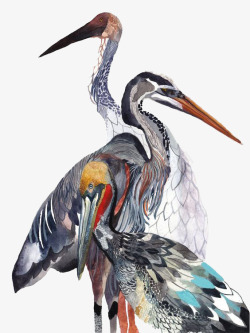 水彩鸟类手绘彩色三只鸬鹚高清图片