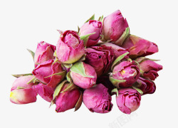 一堆花苞法兰西玫瑰花苞一堆高清图片