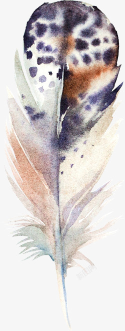 斑斓水彩羽毛羽毛图案图标高清图片