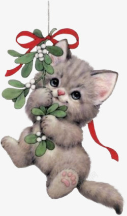 小猫咪素材