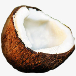 椰子图标png_新图网 https://ixintu.com coconut food fruit meal tropical 椰子 水果 热带 食物 餐