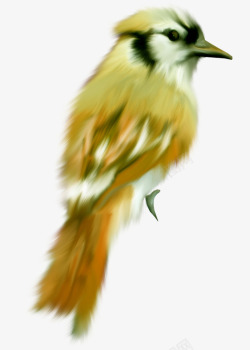 手绘绿色羽毛小鸟动物素材