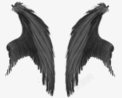 拉斐尔手绘黑色羽毛翅膀高清图片