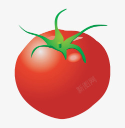 卡通蔬菜西红柿素材