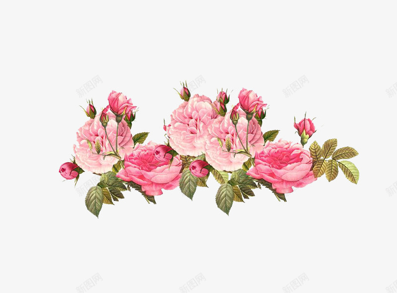 玫瑰花群png免抠素材_新图网 https://ixintu.com 浪漫 浪漫玫瑰 玫瑰花 系列 花堆 花朵