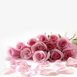 粉色花叶玫瑰高清图片