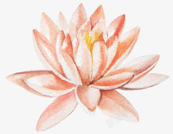 一朵荷花素材手绘一朵荷花睡莲高清图片
