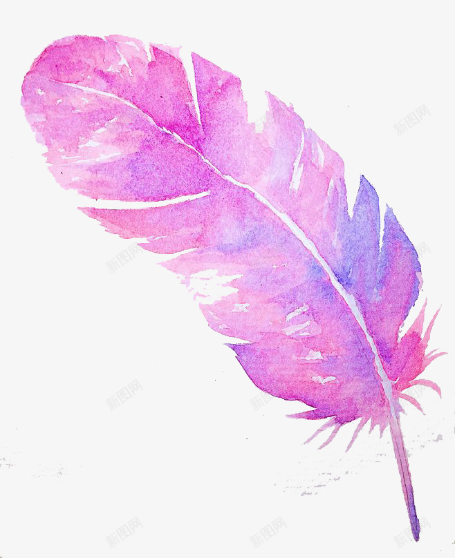 紫色羽毛png免抠素材_新图网 https://ixintu.com 卡通 彩色 手绘 水彩 粉色 紫色 羽毛 装饰
