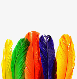 彩色粉尘H5背景素材h5漂亮的羽毛高清图片
