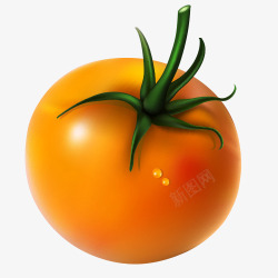 西红柿矢量美图西红柿高清图片