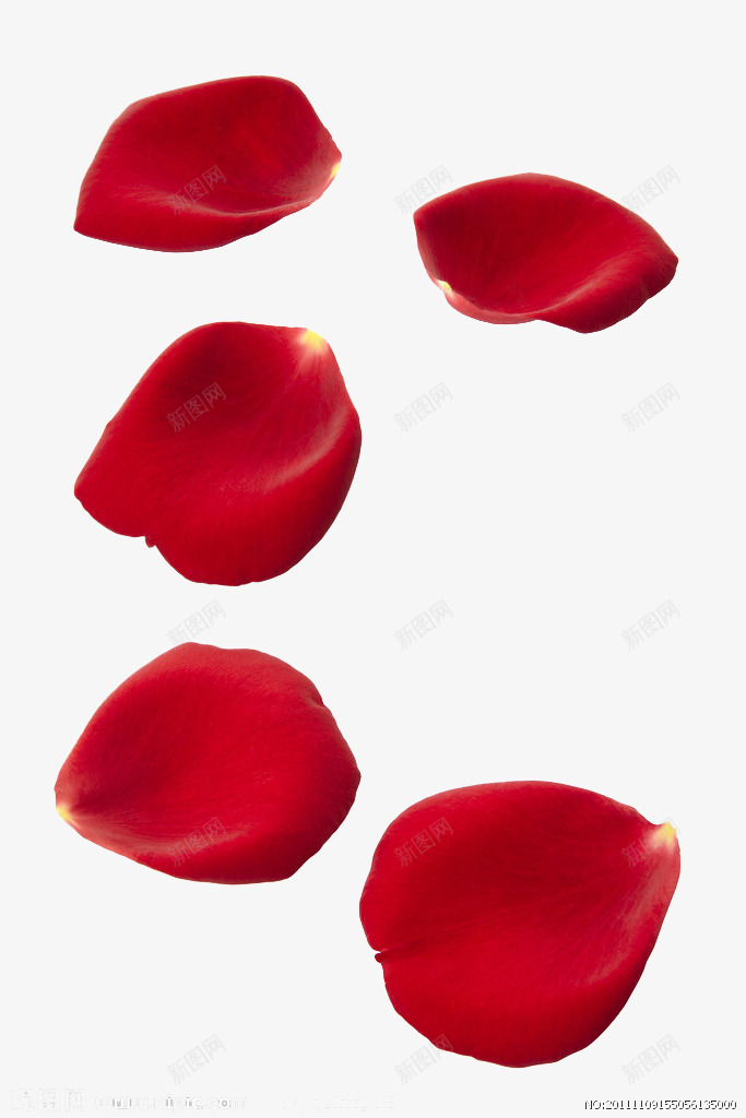 红色玫瑰花瓣创意png免抠素材_新图网 https://ixintu.com 创意 玫瑰 红色 花瓣 设计